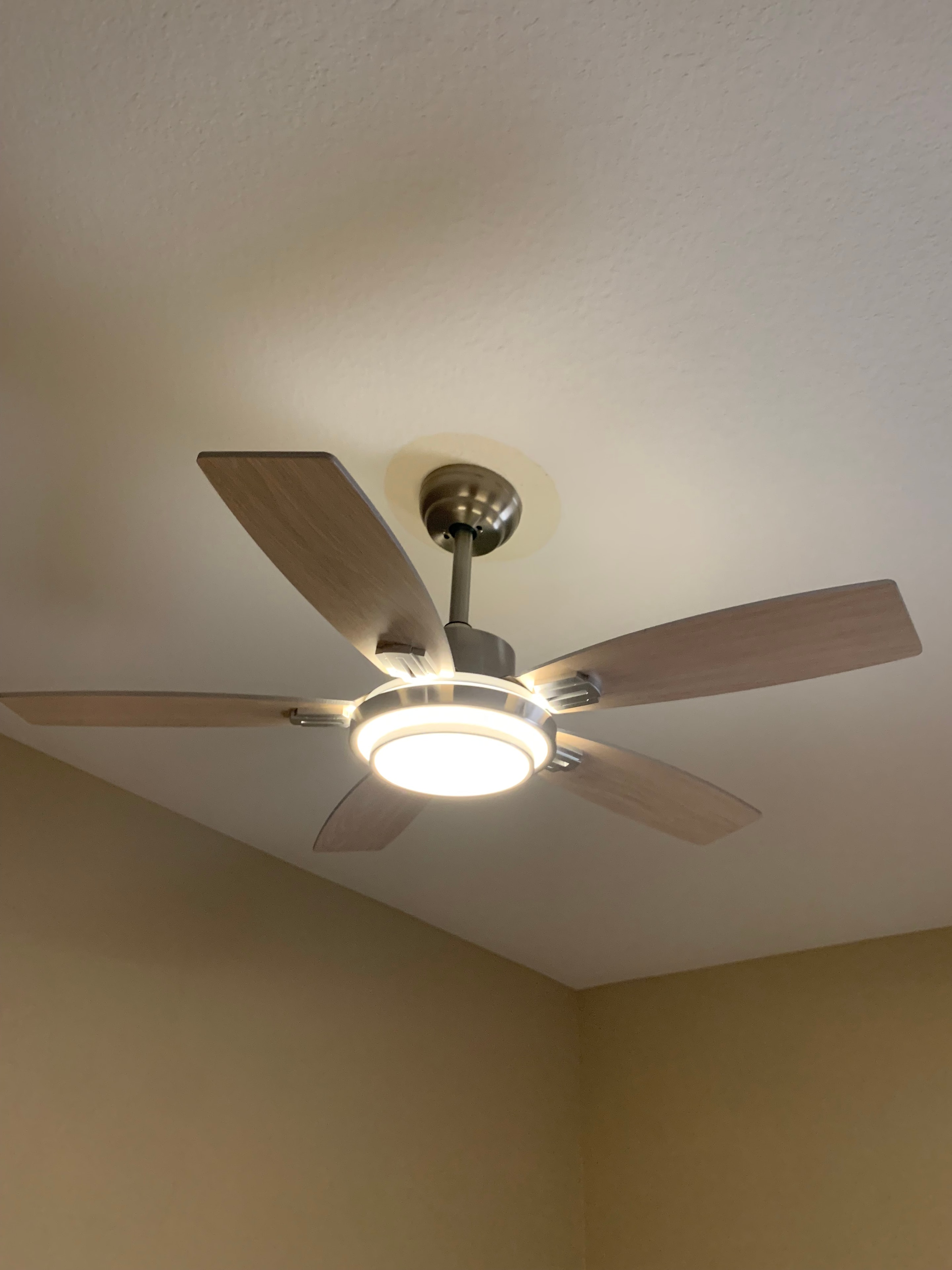 Ceiling & Bath Fans